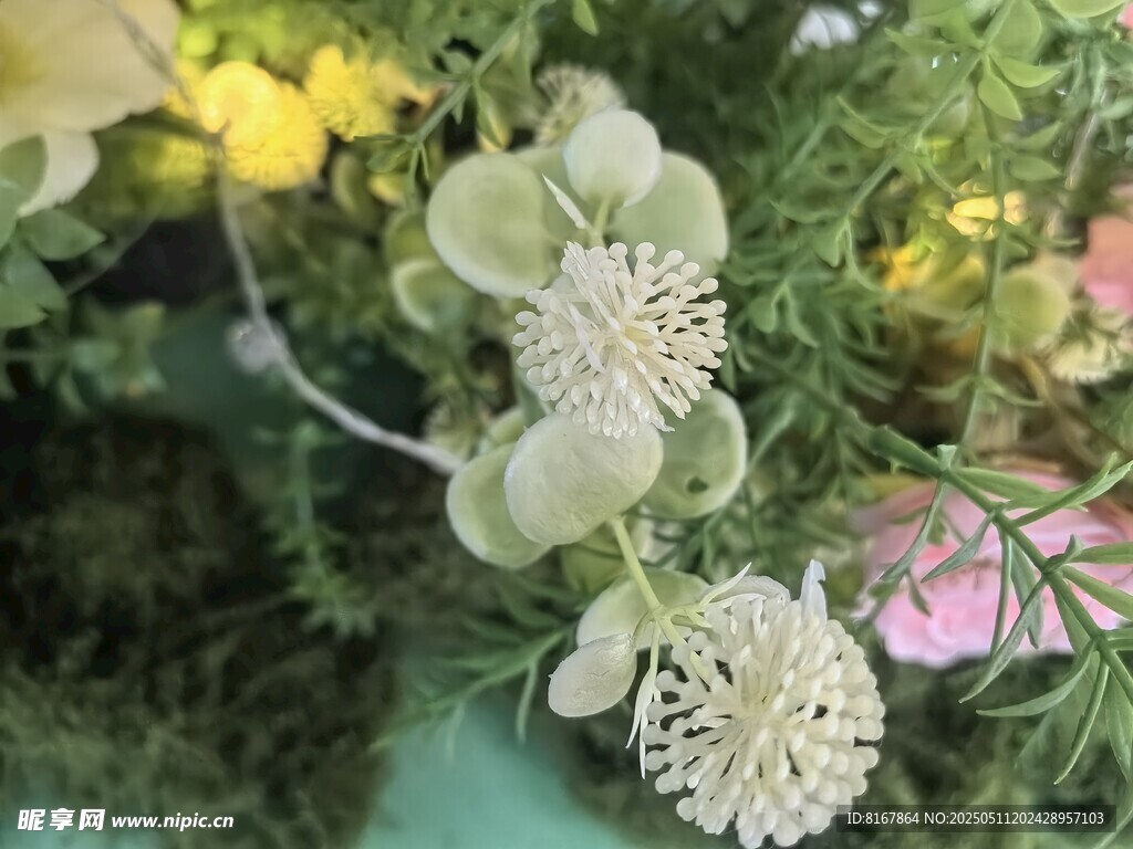 多彩花卉特写