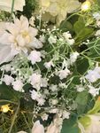 清新白色花卉组合