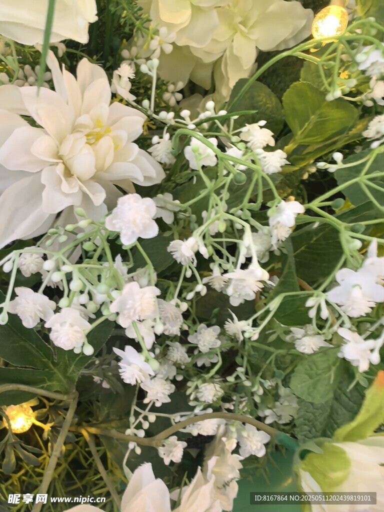 清新白色花卉组合