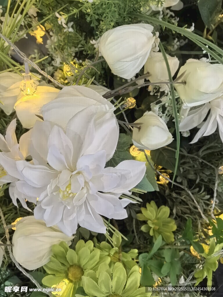 白色花卉绿植自然景致