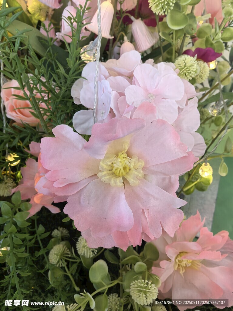 娇艳粉色花卉绽放