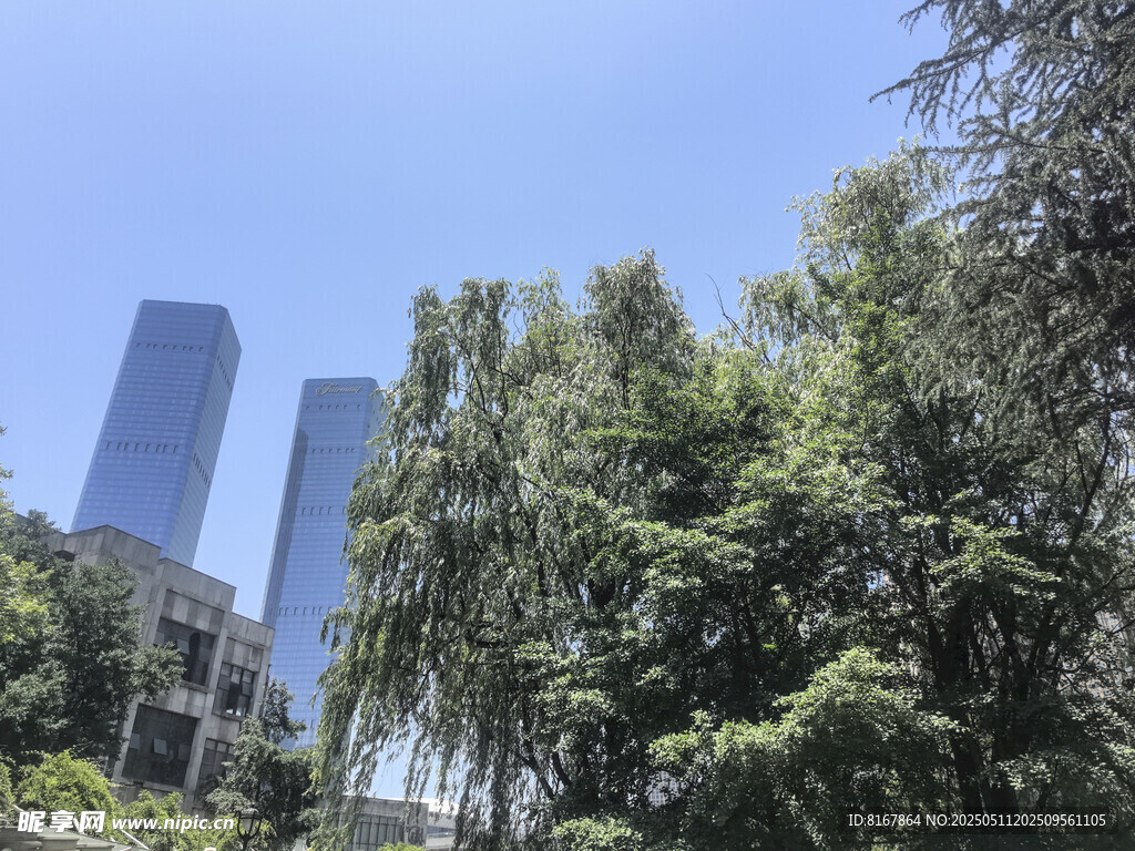 城市绿树与高楼景观