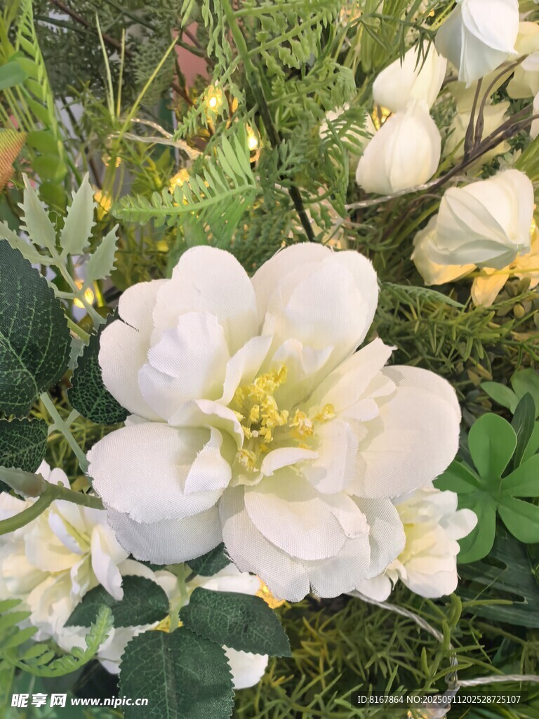 白色花卉绽放绿意间