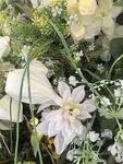 清新淡雅白色花卉组合