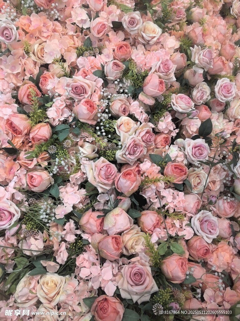 玫瑰花