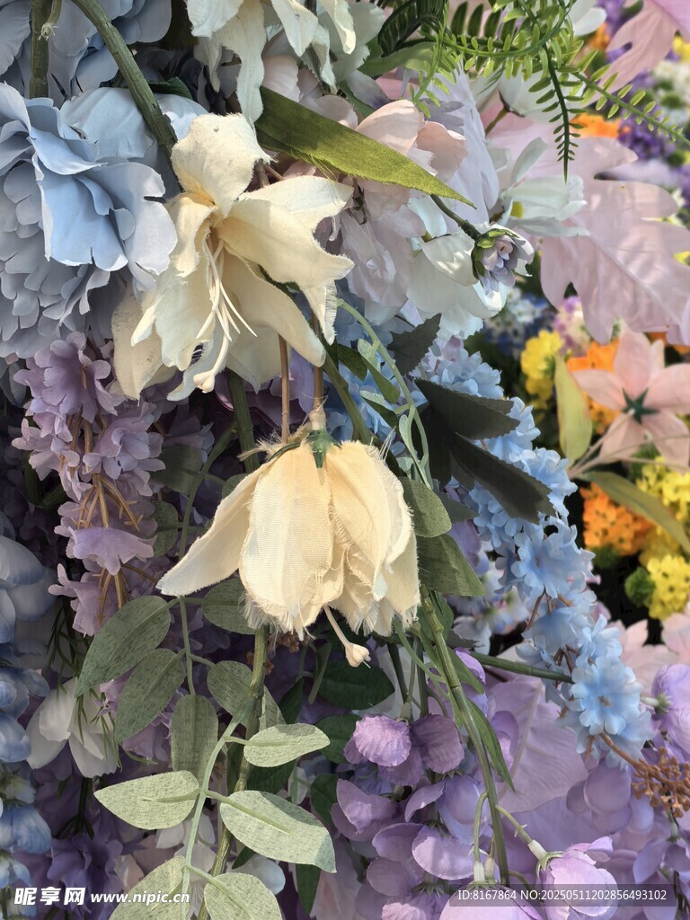 淡雅花卉组合绽放美丽