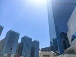 都市高楼阳光下的景致