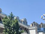 城市建筑与绿植景观