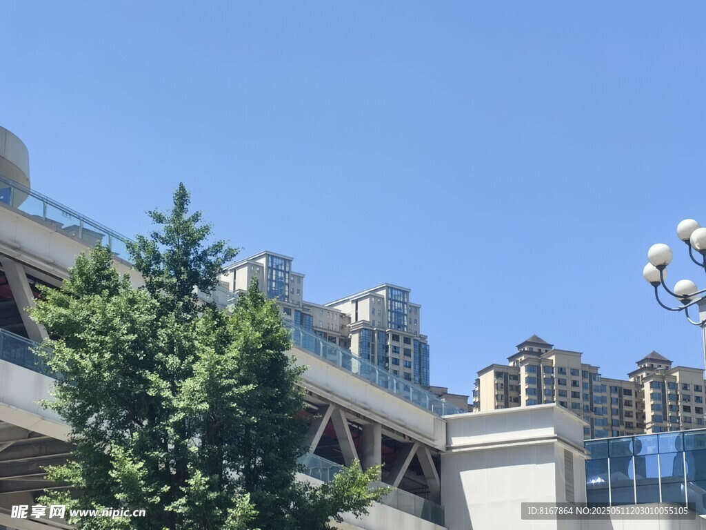 城市建筑与绿植景观