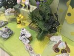 可爱童鞋展示与绿植搭配
