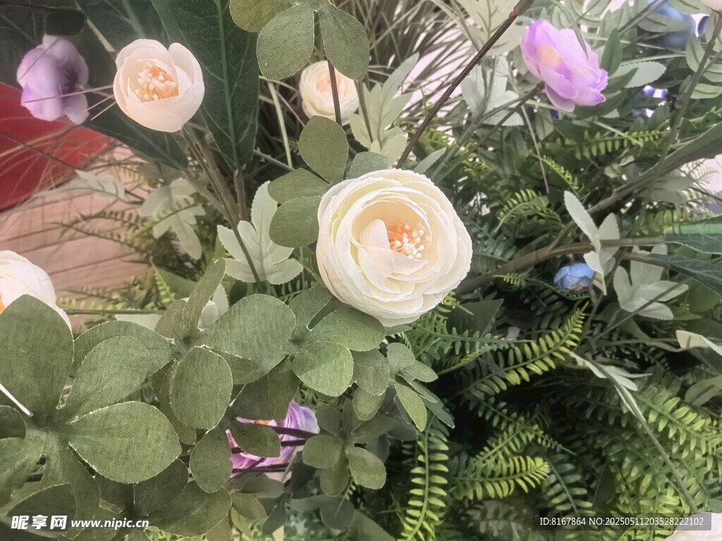 多彩花卉组合绽放美丽