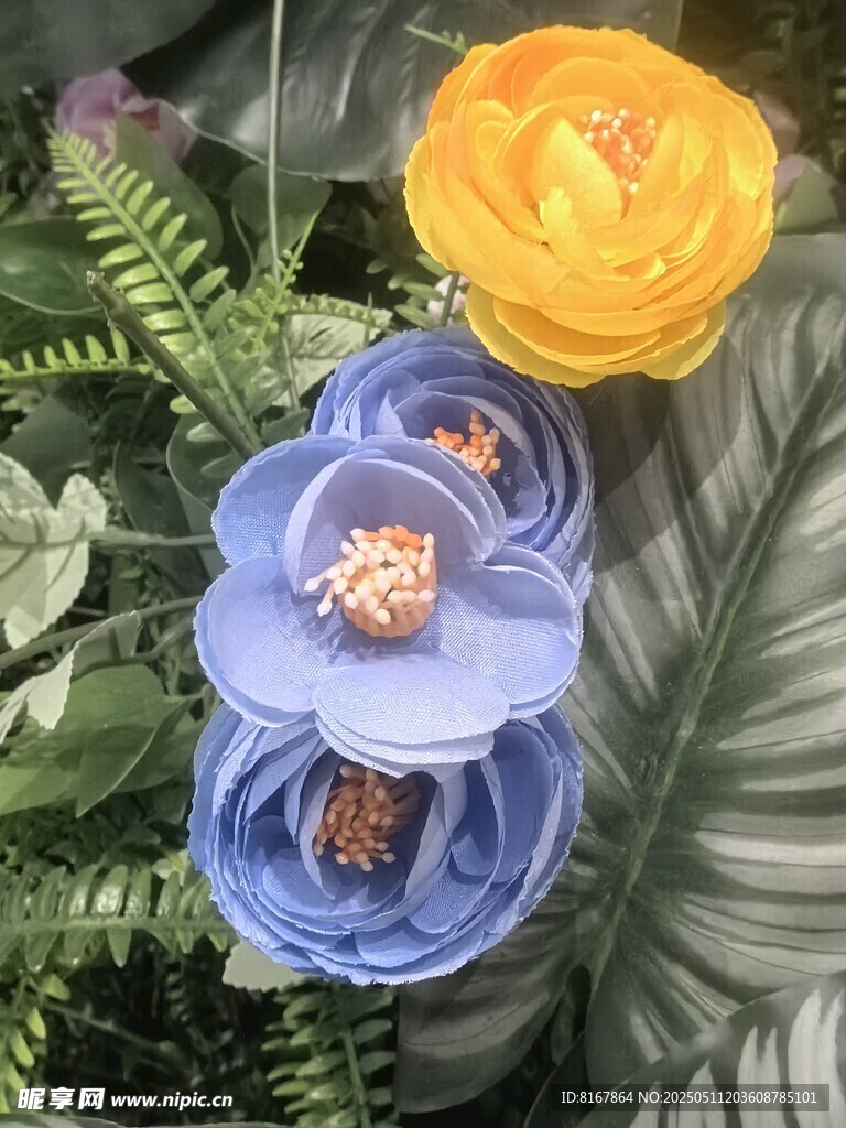 多彩花朵与绿叶的美丽组合