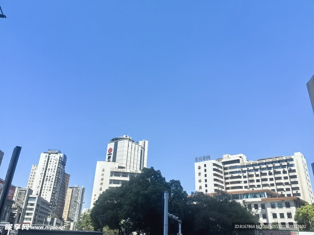 城市天际线与绿树相映