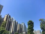 高楼林立的城市景观