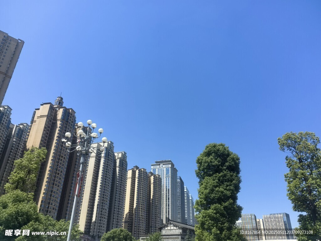 高楼林立的城市景观