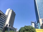 城市高楼与绿树景观
