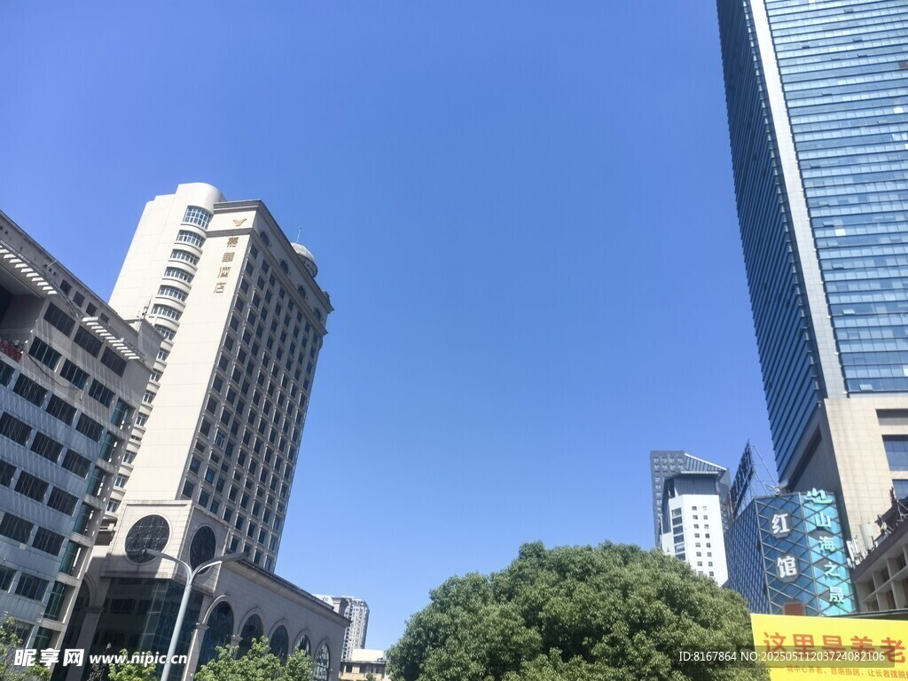 城市高楼与绿树景观