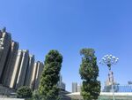 城市高楼旁的绿植景观