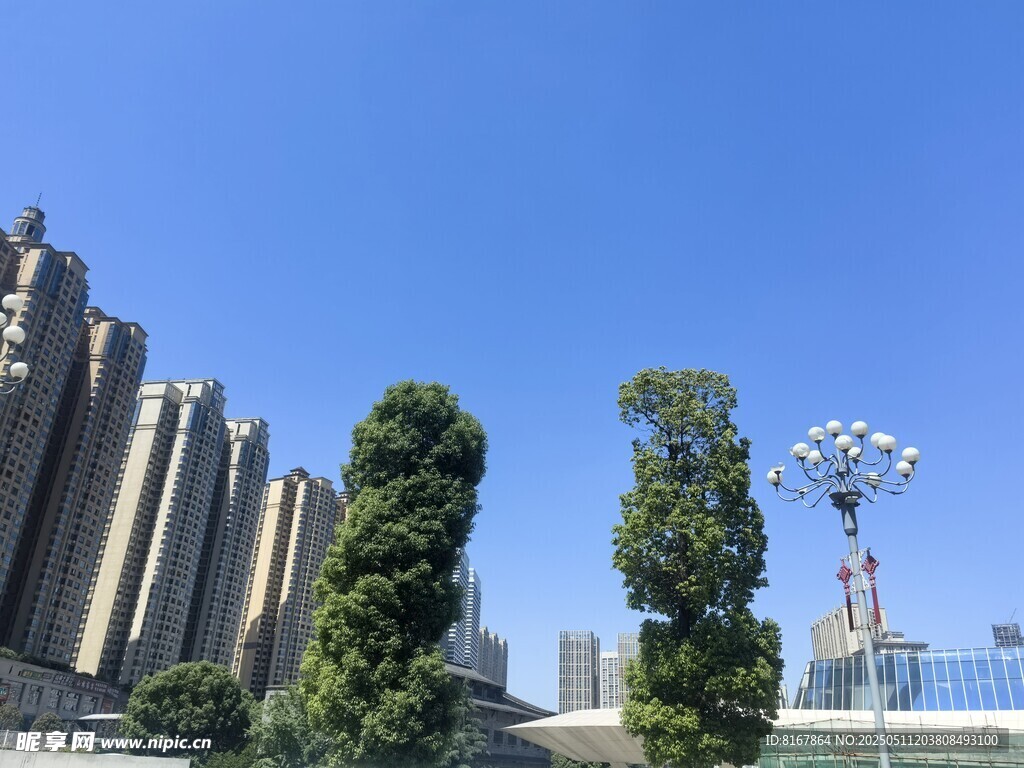 城市高楼旁的绿植景观