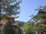 山林中的古朴建筑