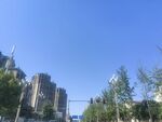 城市蓝天绿树建筑景观