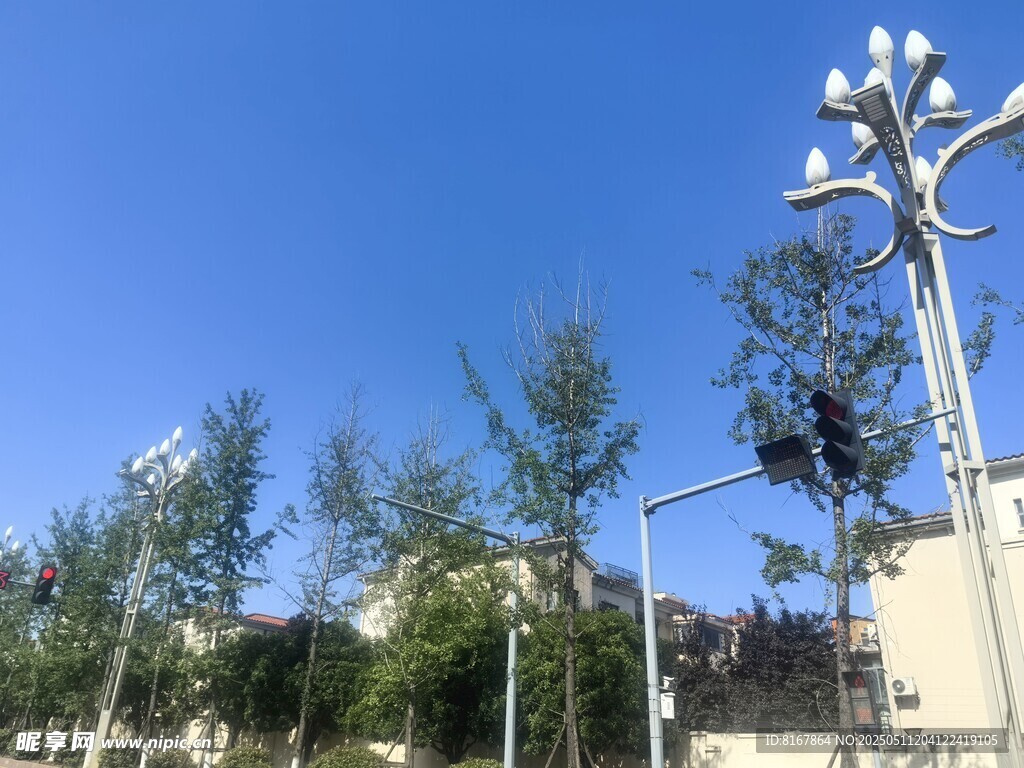 蓝天绿树旁的特色路灯