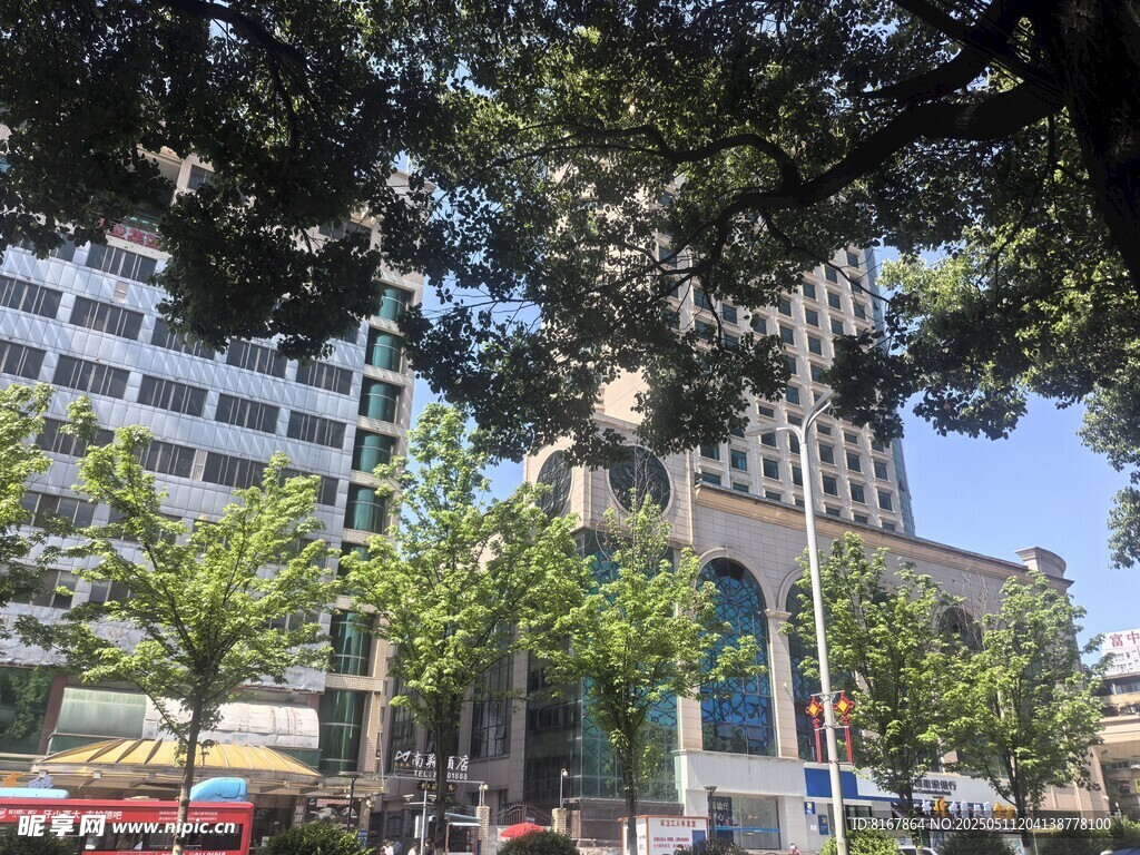 城市街道绿树掩映的建筑
