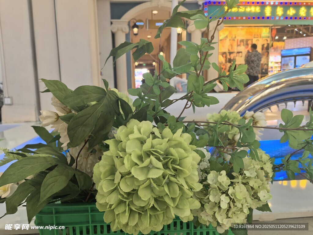 绿色盆栽装点室内空间
