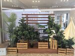 室内绿植装饰展示场景