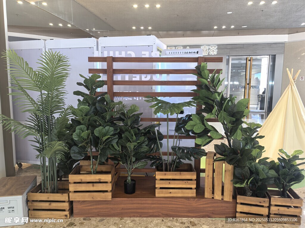 室内绿植装饰展示场景