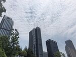 城市高楼与天空绿树景观