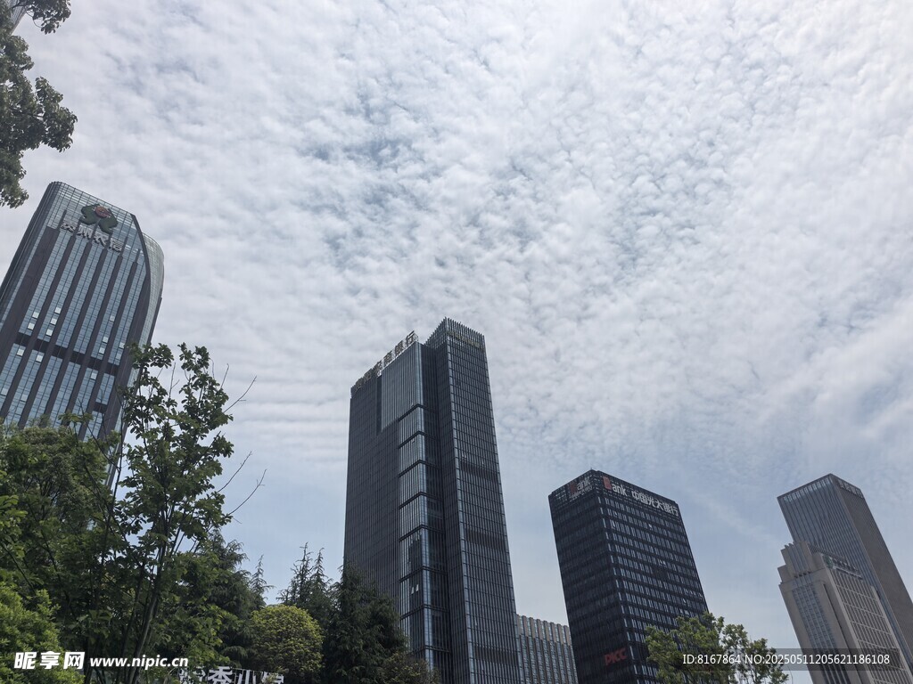 城市高楼与天空绿树景观
