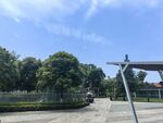 户外开阔场地与绿树景观