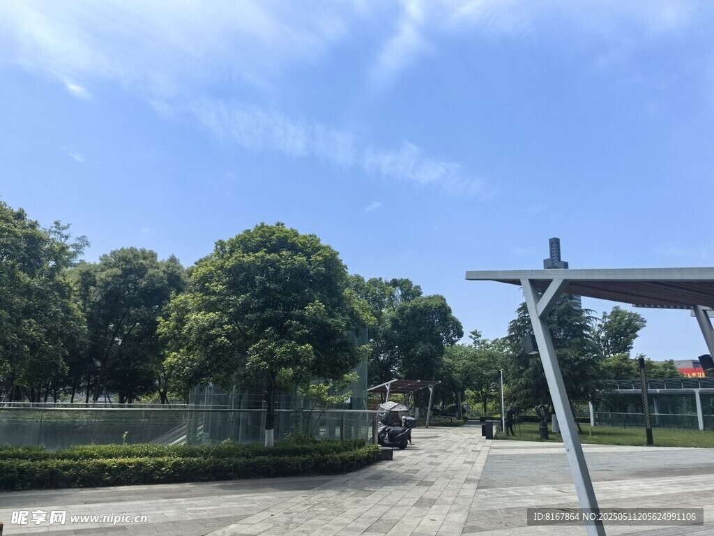 户外开阔场地与绿树景观