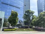 都市中的绿植与现代建筑