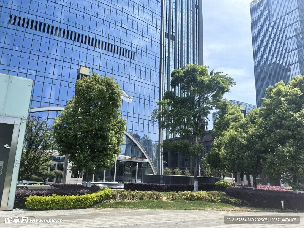 都市中的绿植与现代建筑