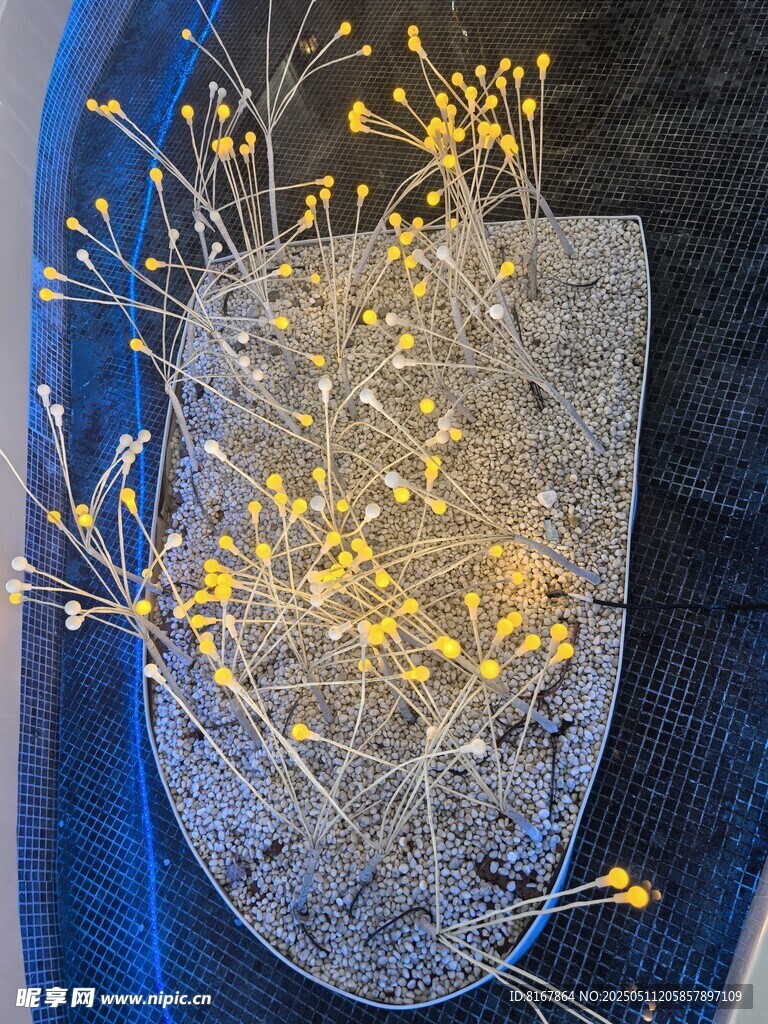 玻璃花瓶中的发光装饰花