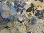 蓝白花卉特写