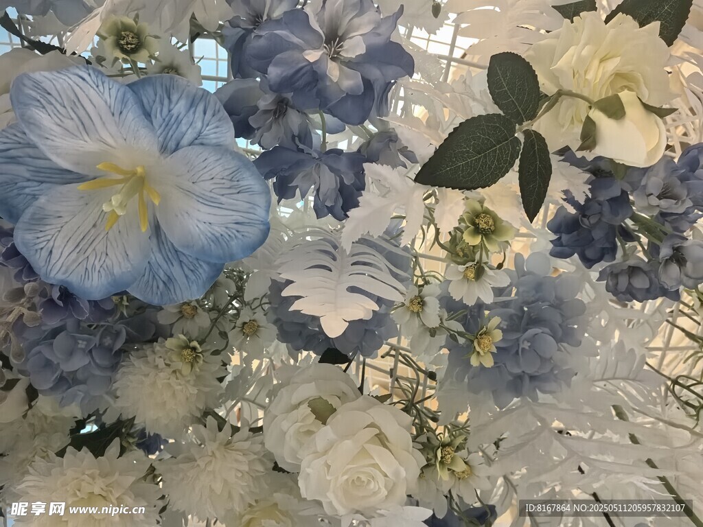 蓝白花卉特写