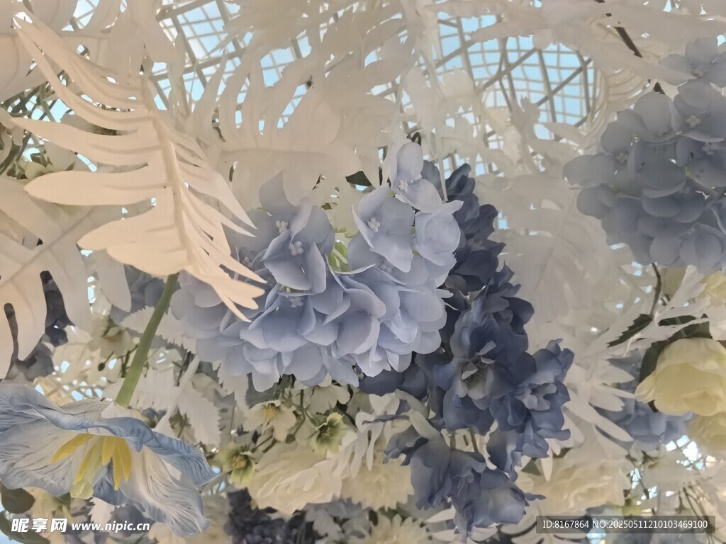 奇幻森林景象