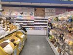 玩具店内琳琅满目的玩偶