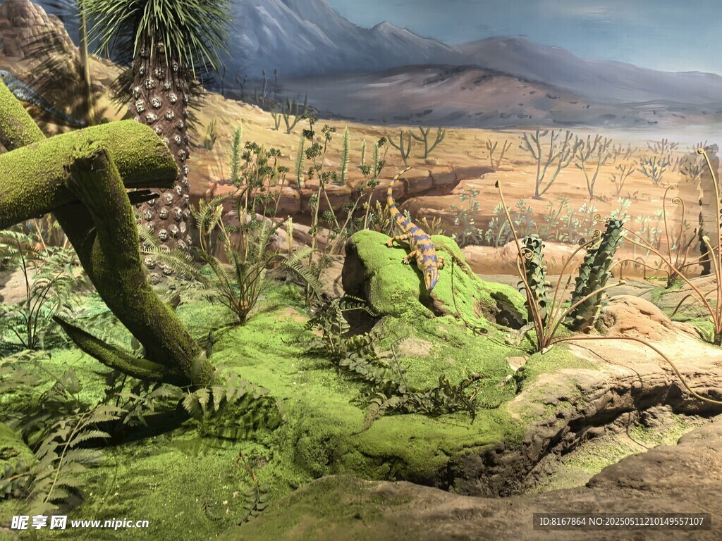 远古恐龙栖息的神秘场景