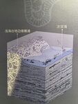 土壤结构剖面图展示