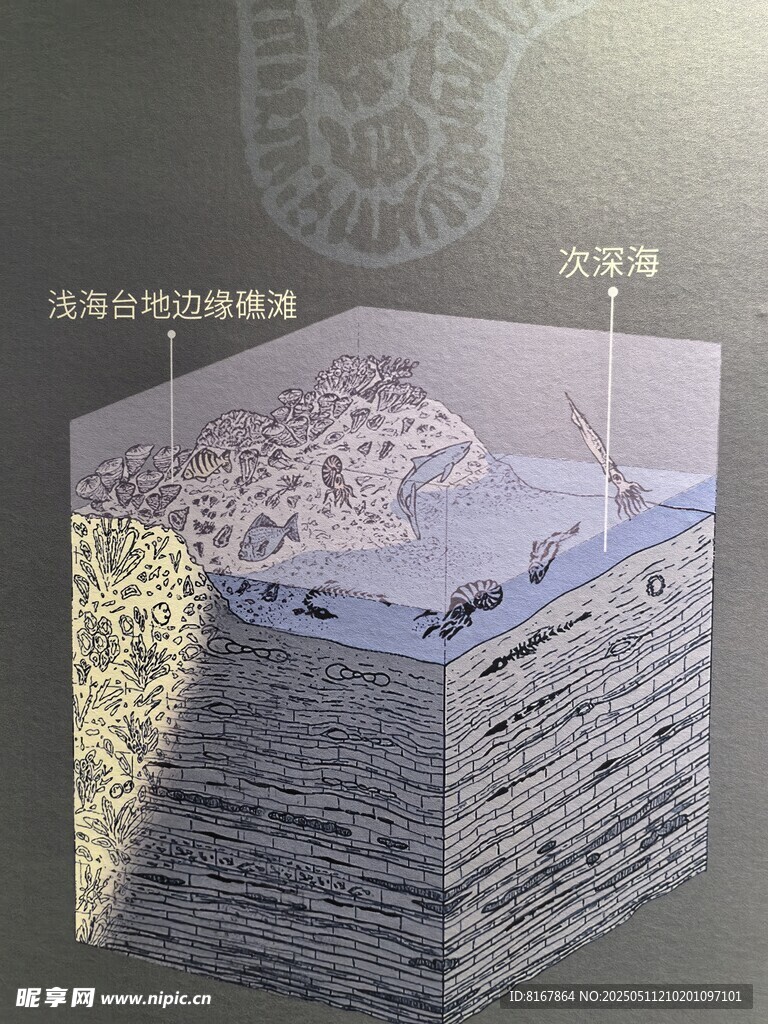 土壤结构剖面图展示