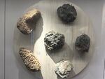 多样陨石展示