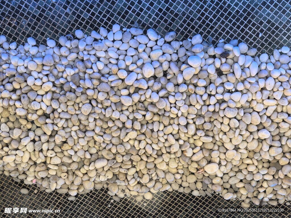白色颗粒状物体特写