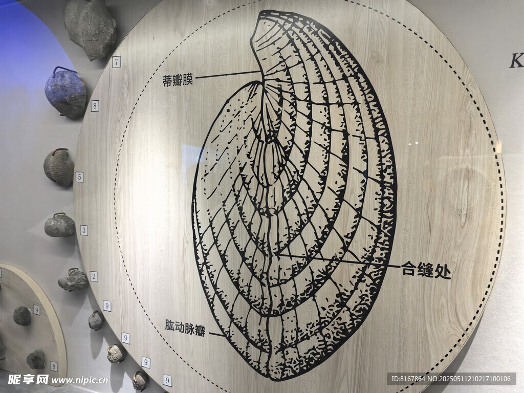 金属圆盘上的复杂几何图案