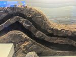 地质构造模型展示