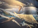 远古海洋生物群游景象