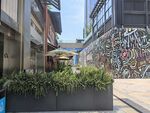 城市街头涂鸦与绿植景观